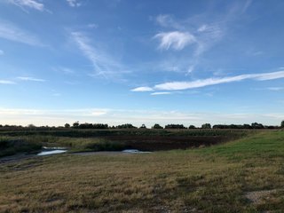 Property photo 50 - MAJOR LAND AUCTION - 1,085+/- ACRES IN 24 TRACTS IN HENRY & WAYNE COUNTIES, INDIANA